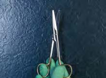 mayo_praeparierscheren