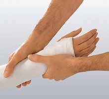 platrix_longetten_bsn